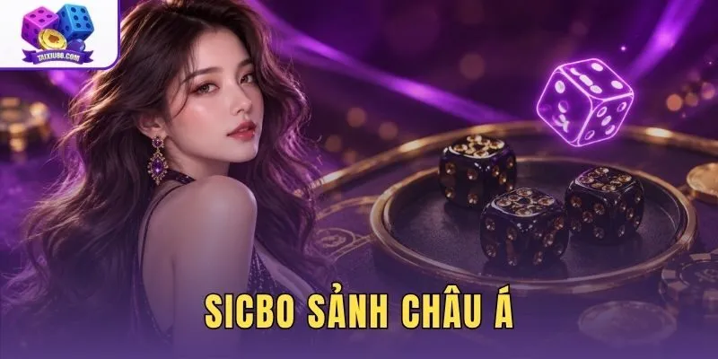 Sicbo Sảnh Châu Á - So Sánh Bảng Vị Và Nhịp Phiên Cược